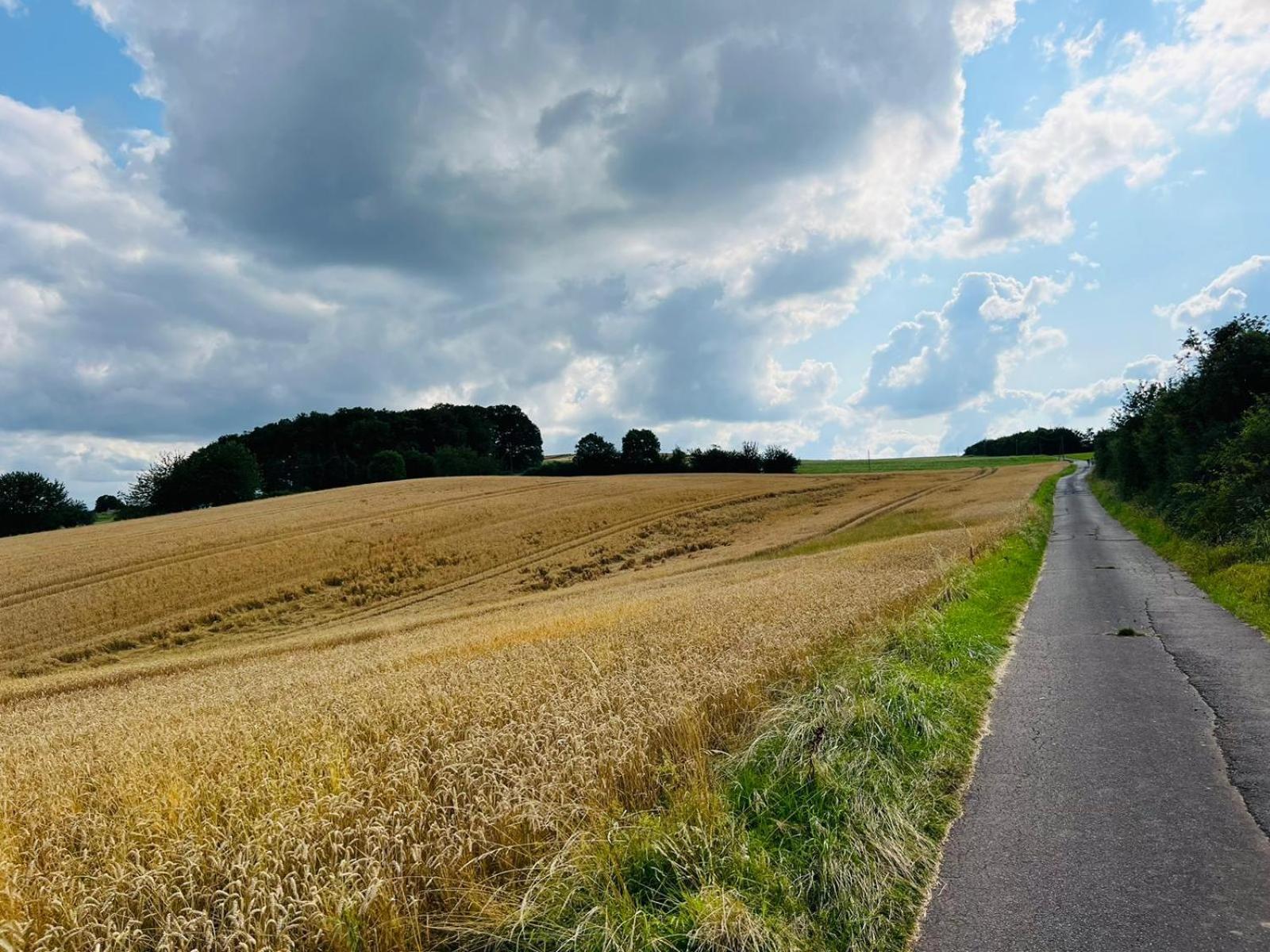 Ferienwohnung In Der Schoenen Eifel! Mechernich Extérieur photo