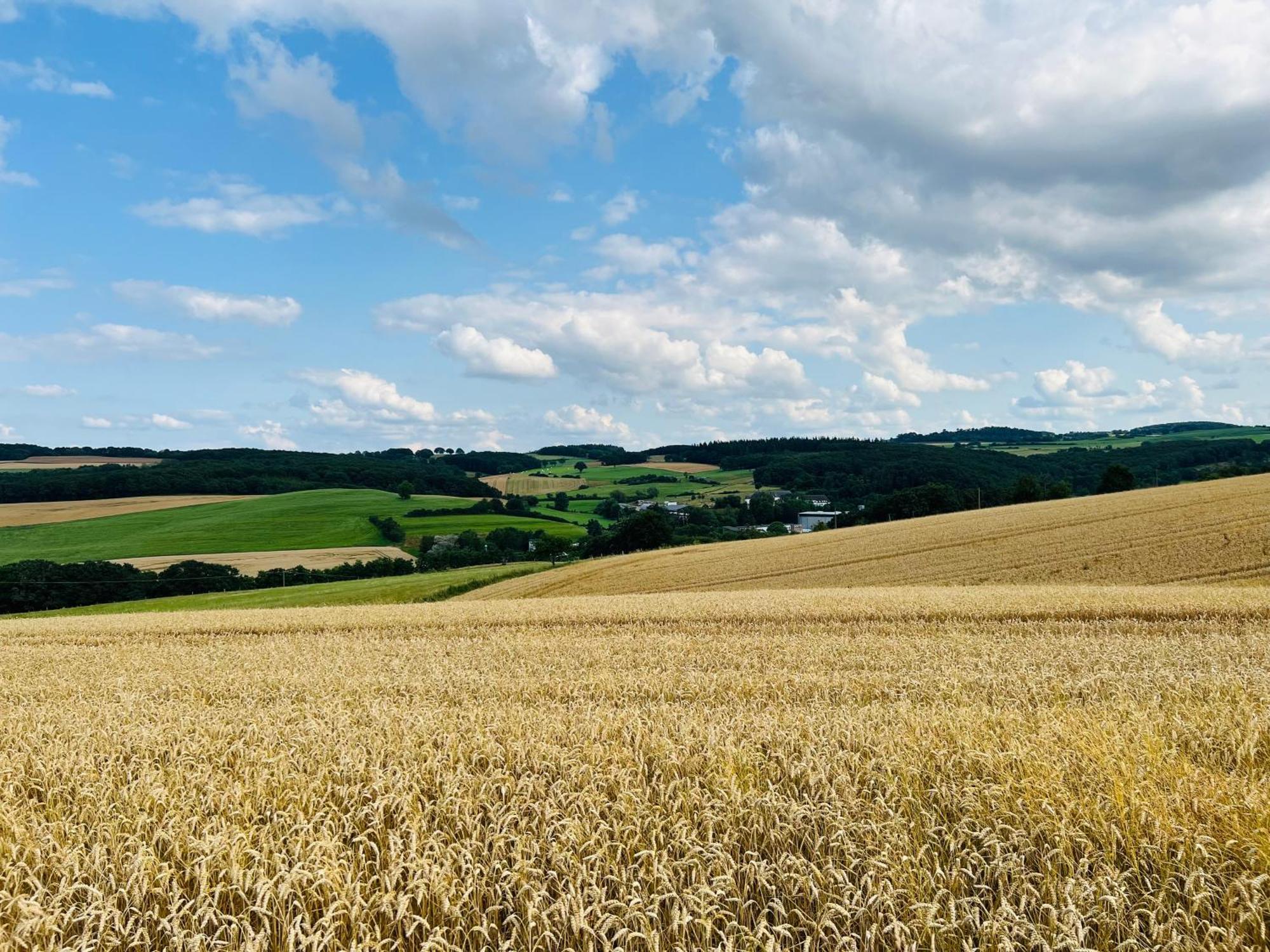 Ferienwohnung In Der Schoenen Eifel! Mechernich Extérieur photo